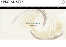 SPECIAL SITE