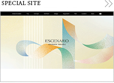 SPECIAL SITE