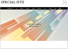 SPECIAL SITE