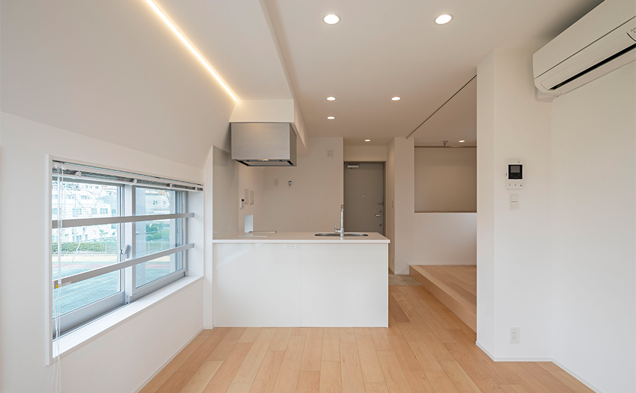 CUADRO SANGEN-JAYA 132