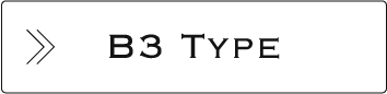 B3 Type