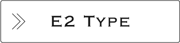 E2 Type
