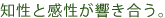 知性と感性が響き合う。